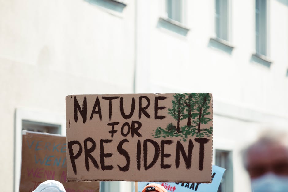 Expanding Peaceful Political Climate Sets the Stage for Upcoming Election