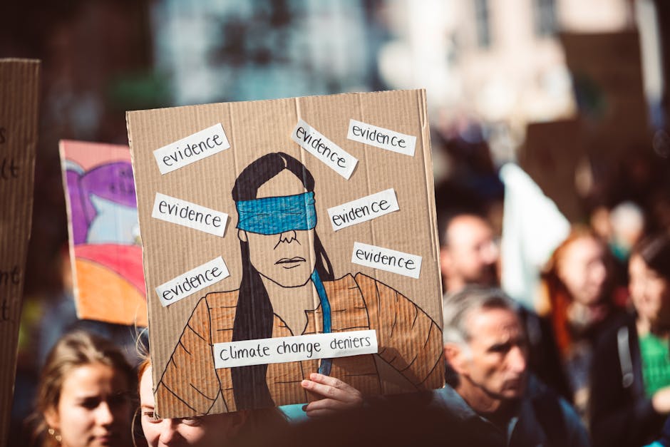 Expanding Peaceful Political Climate Sets the Stage for Upcoming Election